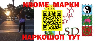 2c-b Кингисепп