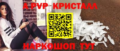 2c-b Кингисепп