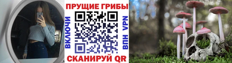 Псилоцибиновые грибы мицелий  Барабинск 
